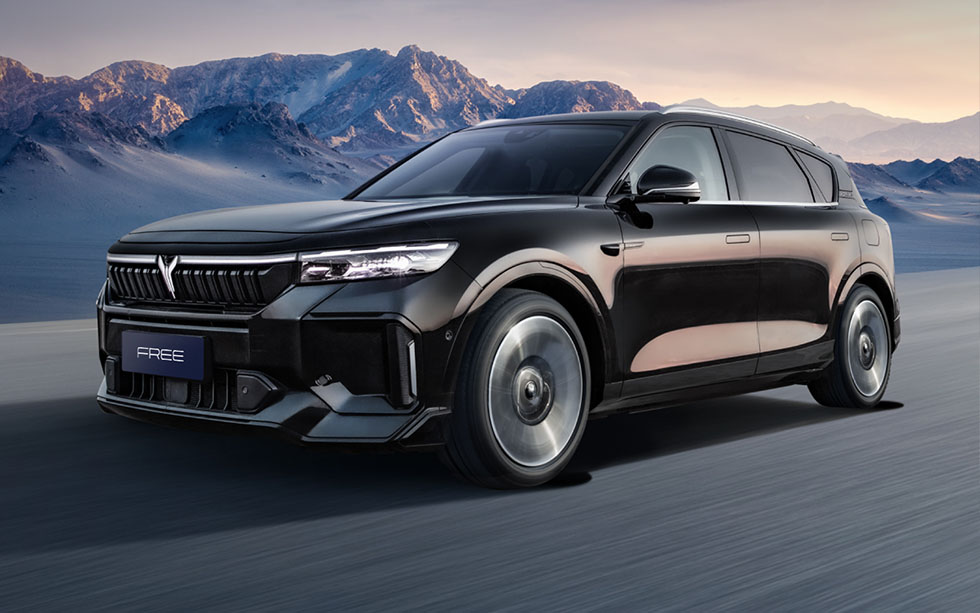 Poznaj więcej modeli Voyah